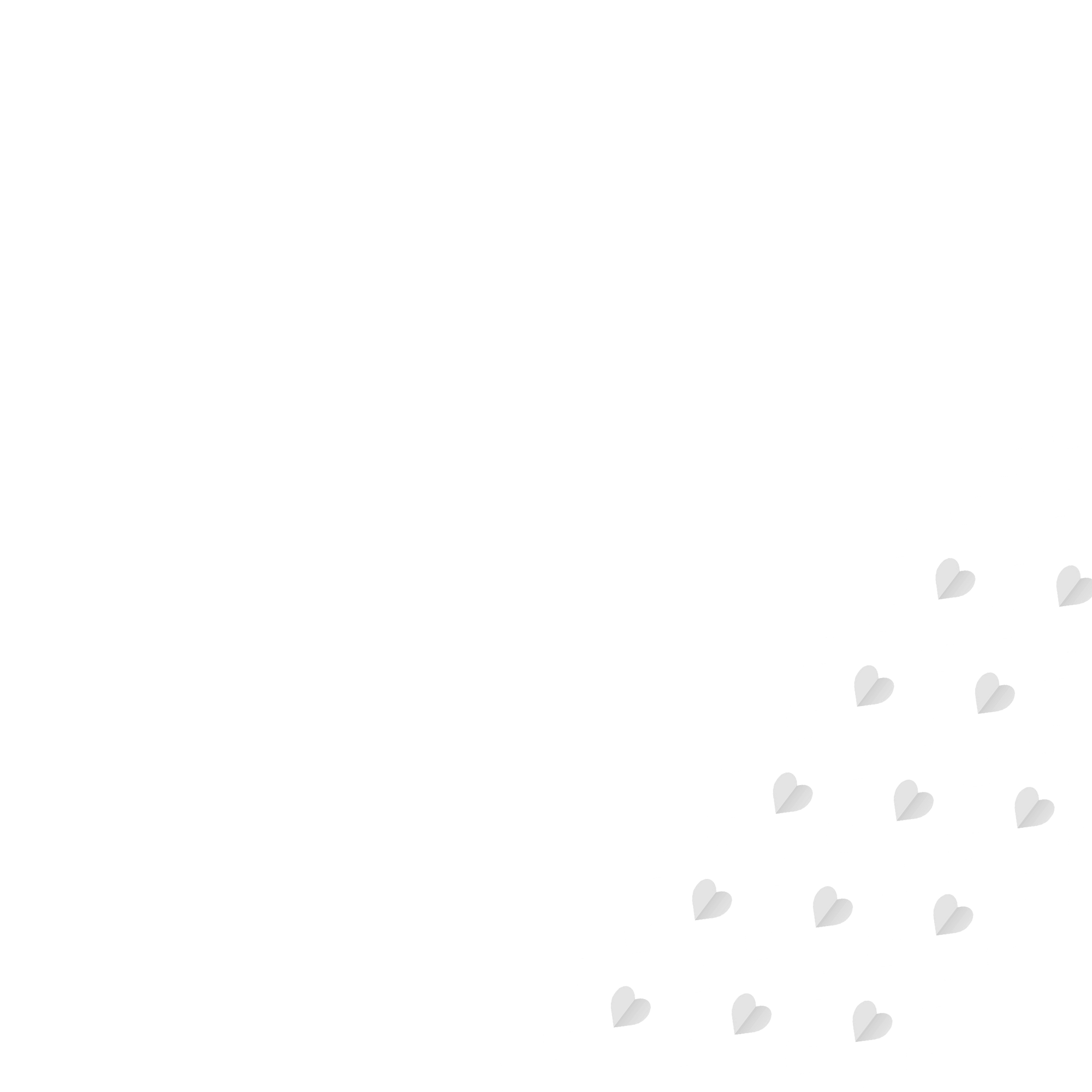 affordable fight for you!